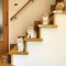 【猫画像】猫階段
