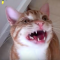 【猫動画】これは可愛すぎる！猫が歌う（？）クリスマスソングとは・・・！？-Meowy Catmas-