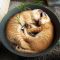 【猫画像】植木鉢ベッド