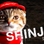 【猫CM】猫の日に発表！？ピザキャット店のリニューアルと新人猫SHINJINとは・・・！？
