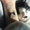 【猫ネタ】これならカワイイ！？とてもカワイイ猫のタトゥーが！？-Sol Tattoo-