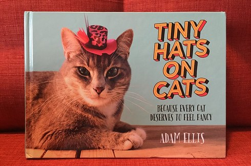 猫ネタ 紙で猫の帽子を クオリティが高すぎる猫帽子の作り方とは Tiny Hats On Cats 猫知る