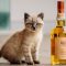 whisky_cat01